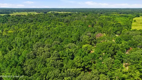 478 Potluck Rd, Canton, MS 39046 photo 22