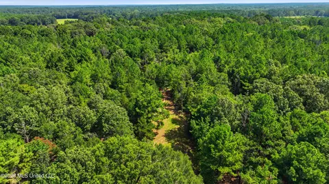 478 Potluck Rd, Canton, MS 39046 photo 19