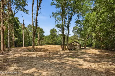 478 Potluck Rd, Canton, MS 39046 photo 10