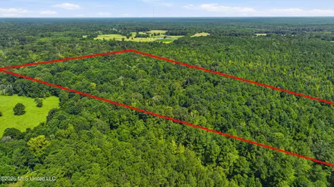 478 Potluck Rd, Canton, MS 39046 photo 35