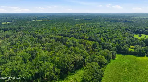 478 Potluck Rd, Canton, MS 39046 photo 16