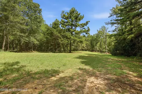 478 Potluck Rd, Canton, MS 39046 photo 3