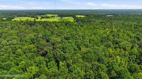 478 Potluck Rd, Canton, MS 39046 photo 18