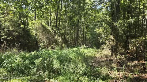 3190 NE Quentin Tower Rd, Mccall Creek, MS 39647
