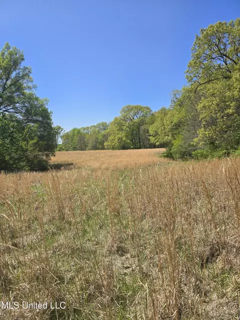 Melanie Lane, Hernando, MS 38632 photo 2