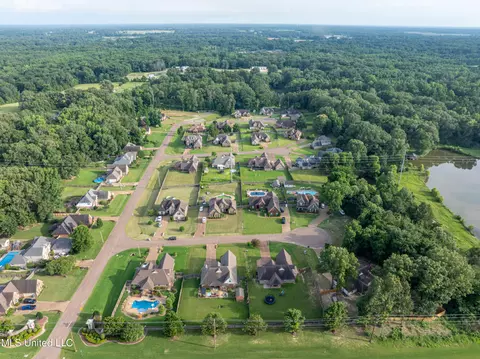 View/Area - 1668 Farindale Cv, Nesbit, MS 38651 photo 10 of 15