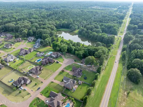View/Area - 1668 Farindale Cv, Nesbit, MS 38651 photo 8 of 15