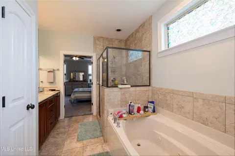 Bath - 1668 Farindale Cv, Nesbit, MS 38651 photo 2 of 4