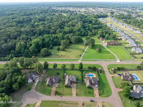 View/Area - 1668 Farindale Cv, Nesbit, MS 38651 photo 7 of 15