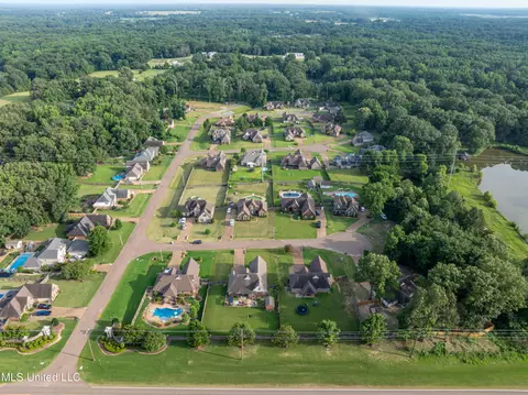 View/Area - 1668 Farindale Cv, Nesbit, MS 38651 photo 11 of 15