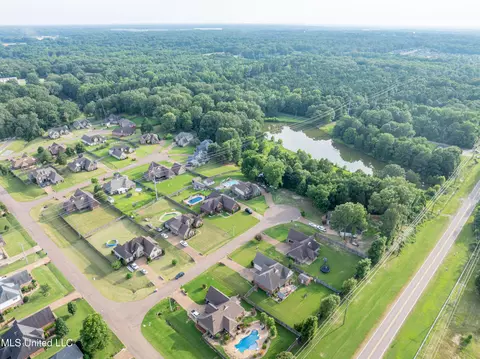 View/Area - 1668 Farindale Cv, Nesbit, MS 38651 photo 9 of 15