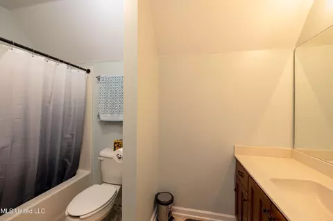 Bath - 1668 Farindale Cv, Nesbit, MS 38651 photo 3 of 4