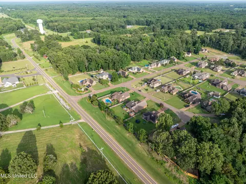 View/Area - 1668 Farindale Cv, Nesbit, MS 38651 photo 12 of 15