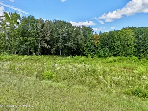 0001 Hwy 471, Brandon, MS 39042 photo 13
