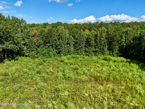 0001 Hwy 471, Brandon, MS 39042 photo 10