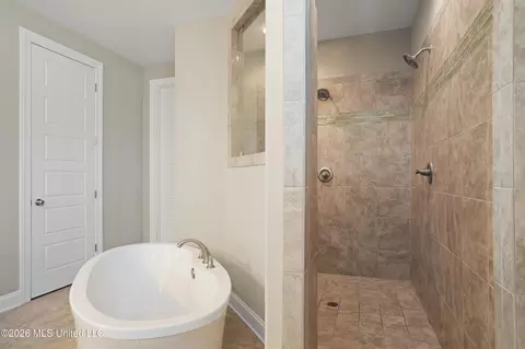 Bath - 3158 Mckenna Way, Hernando, MS 38632 photo 3 of 4