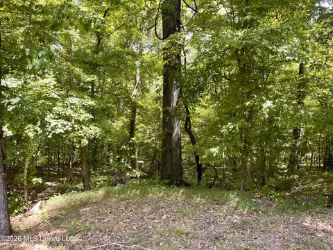 Exterior - 5560 Poplar Corner Rd, Walls, MS 38680 photo 2 of 8
