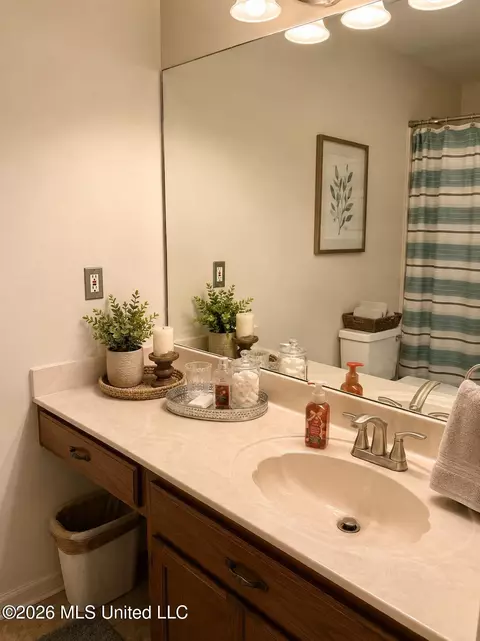 Bath - 5560 Poplar Corner Rd, Walls, MS 38680 photo 2 of 4