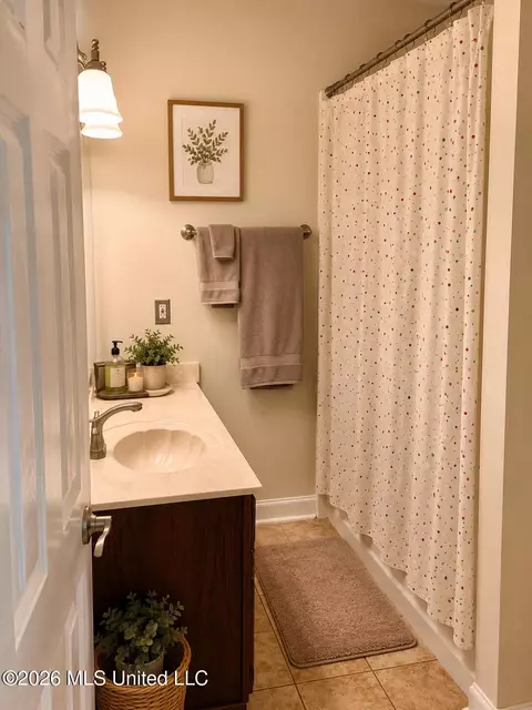Bath - 5560 Poplar Corner Rd, Walls, MS 38680 photo 4 of 4