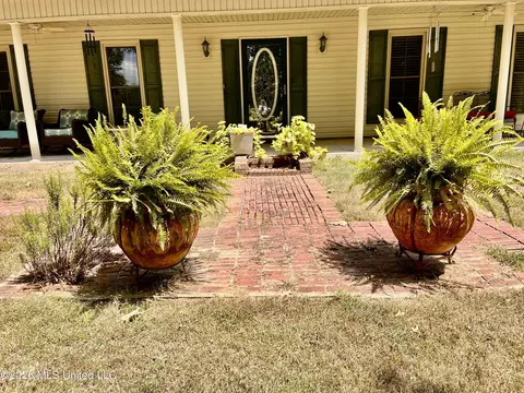Exterior - 5560 Poplar Corner Rd, Walls, MS 38680 photo 6 of 8