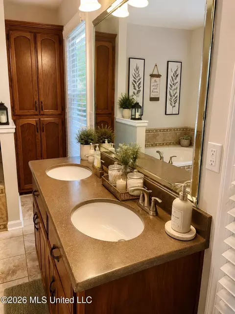Bath - 5560 Poplar Corner Rd, Walls, MS 38680 photo 3 of 4
