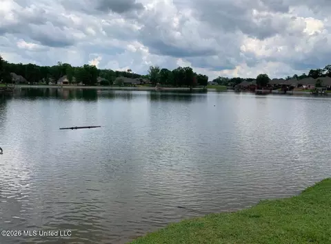 View/Area - 502 Eternal Ct, Brandon, MS 39042 photo 1 of 2
