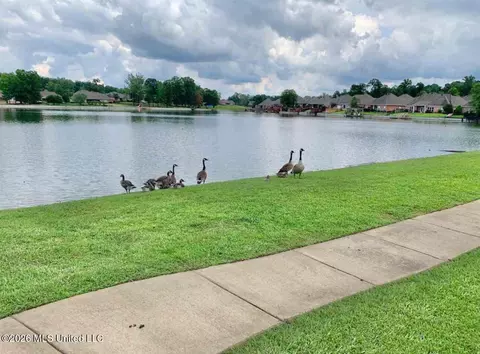 View/Area - 502 Eternal Ct, Brandon, MS 39042 photo 2 of 2