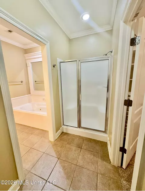 Bath - 502 Eternal Ct, Brandon, MS 39042 photo 6 of 7