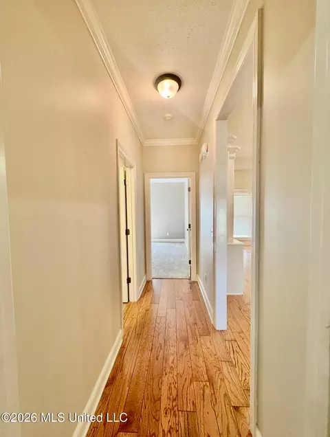 Entry Way - 502 Eternal Ct, Brandon, MS 39042 photo 2 of 3