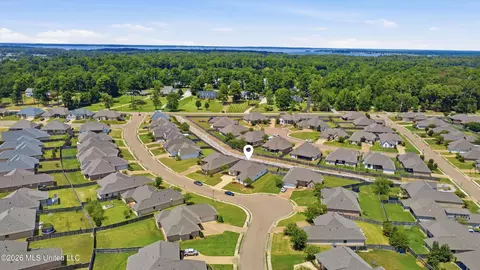 View/Area - 420 Emerald Trl, Brandon, MS 39047 photo 3 of 5