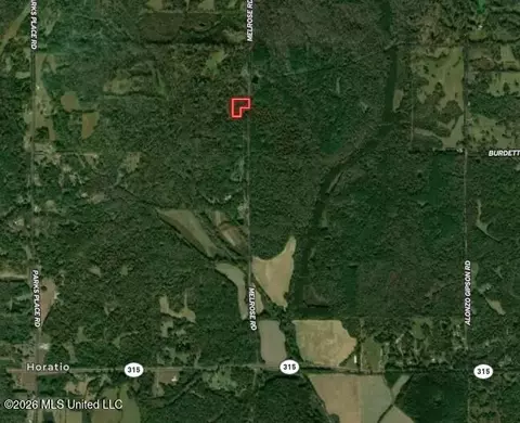 Melrose Road, Como, MS 38619 photo 2