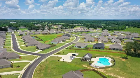 View/Area - 133 Hunters Way, Canton, MS 39046 photo 1 of 1