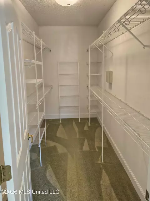 Other - 1663 Cedar Trail Cv, Hernando, MS 38632 photo 2 of 5