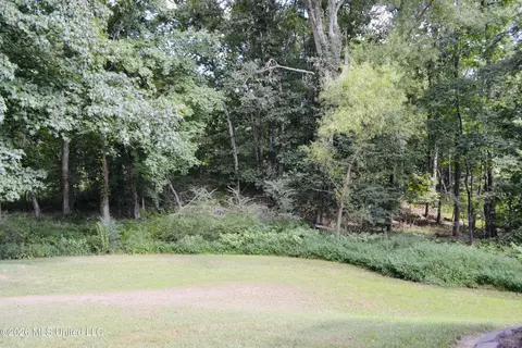 Exterior - 3292 Big Ben, Hernando, MS 38632 photo 5 of 5