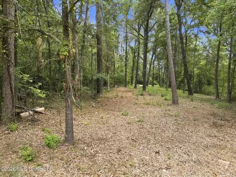 Lake Dockery Road, Byram, MS 39272 photo 17