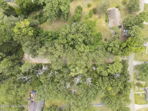 Lake Dockery Road, Byram, MS 39272 photo 12
