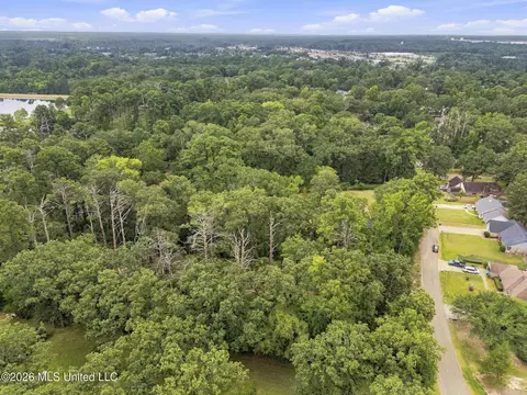 Lake Dockery Road, Byram, MS 39272 photo 11