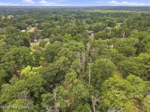 Lake Dockery Road, Byram, MS 39272 photo 13