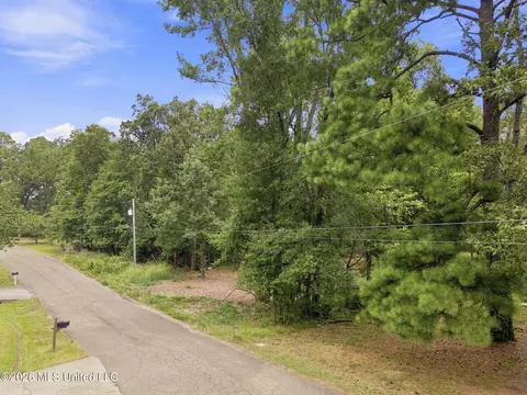 Lake Dockery Road, Byram, MS 39272 photo 14