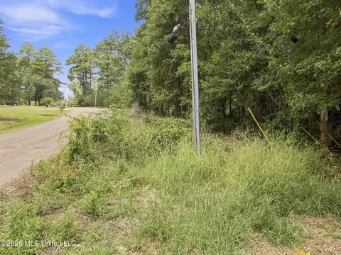 Lake Dockery Road, Byram, MS 39272 photo 16