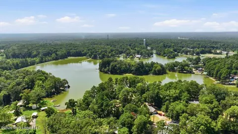 View/Area - 407 Pine Ridge Rd, Florence, MS 39073 photo 9 of 14