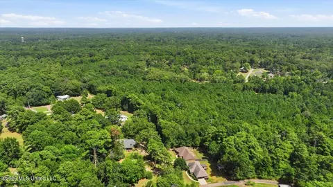 View/Area - 407 Pine Ridge Rd, Florence, MS 39073 photo 10 of 14