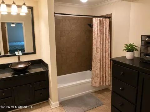 Bath - 3256 Monans Rill Cv, Hernando, MS 38632 photo 1 of 2