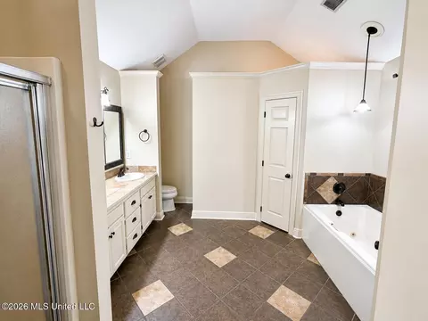 Bath - 3060 Windwood Cir, Flowood, MS 39232 photo 1 of 3