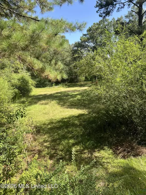 Other - 15546 Broadus Rd, Saucier, MS 39574 photo 1 of 4