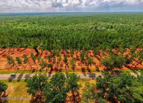 2 Ramsey Road, Saucier, MS 39574 photo 60