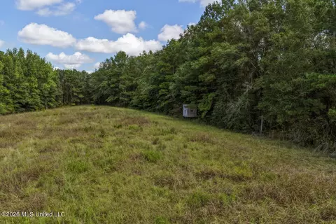 Craft Road, Magee, MS 39111 photo 18