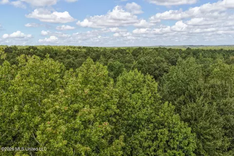 Craft Road, Magee, MS 39111 photo 33