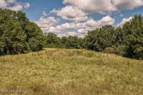 Craft Road, Magee, MS 39111 photo 26