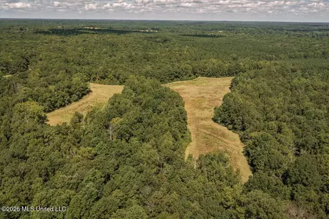 Craft Road, Magee, MS 39111 photo 3